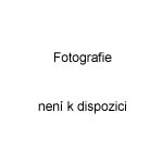 fotografie